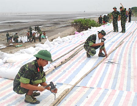 Consolidating dykes in the Mekong Delta town of Go Cong, Tien Giang Province (Photo: SGGP)