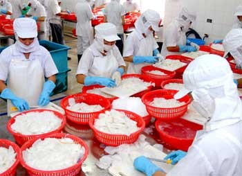 Workers process seafood for export at the APT Co. in the Tan Tao Industrial Park, HCMC. The city Party leader, Le Thanh Hai, has called for cutting interest rates to help businesses get more bank loans. (Photo: SGGP)
