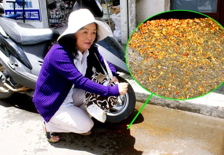 Đà Lạt: Lại xảy ra một vụ cướp táo tợn