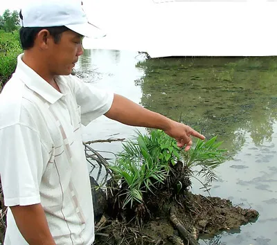 Sông Thị Vải ô nhiễm nặng nề vì chất thải của Vedan xả ra.