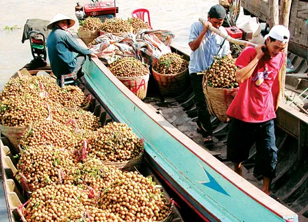 Thương hiệu nông sản - Mới xây đã muốn... sập!