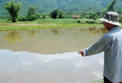 Vụ đình chỉ khai thác than ở rừng Khe Tre (Quảng Nam): Vẫn “chăm chỉ” khai thác