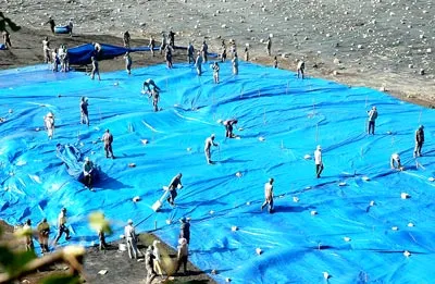 Ai cho phép HVS thải nix?