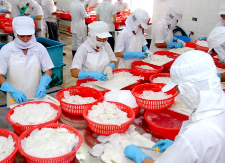 Nhiều doanh nghiệp thủy sản mở rộng thị trường xuất khẩu nhờ nguồn vốn vay. Ảnh: Chế biến thủy sản xuất khẩu tại Công ty APT (KCN Tân Tạo). Ảnh: CAO THĂNG