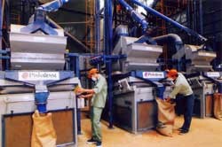 A cafe processing chain of Vietnam-Holland Cafe Co. Ltd. with an investment capital of US$3 million from Holland in the Central Highland province of Daklak (Photo: Vietnam News)