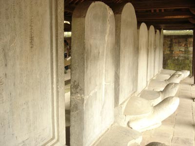 Superstitious touching of turtleheads should be eliminated ảnh 1