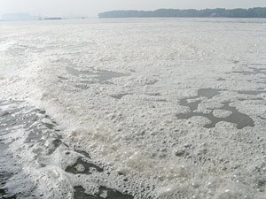 A section of Thi Vai River is polluted by Vedan factory. (Photo: SGGP)
