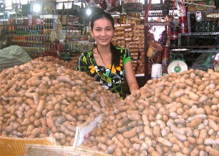 A Thai tamarind wholesale shop at Ninh Kieu Wharf in Can Tho City, Vietnam (Photo: SGGP)