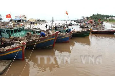 Nhằm đối phó với cơn bão số 1, các ban ngành khẩn trương thực hiện các biện pháp kêu gọi tất cả các tàu thuyền đang đánh bắt hải sản ngoài biển vào các khu vực tránh bão , nơi neo đậu an toàn. Trong ảnh: Tàu thuyền trên vùng biển Hải Phòng đã về nơi trú ẩn an toàn . Ảnh: Tuấn Anh