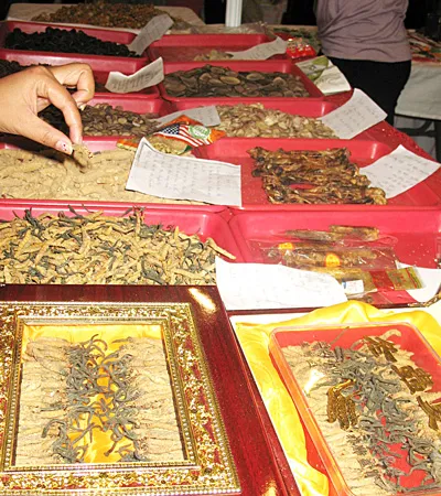 Thị trường nhân sâm: Thả nổi chất lượng