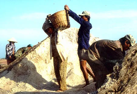 Thu mua muối tạm trữ ở Bạc Liêu - Chuộng trắng bỏ đen