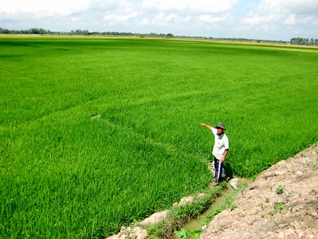 Đất công - “của chùa” nên không ai xót!?