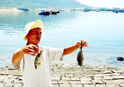 “Thành phố môi trường” đang... ô nhiễm