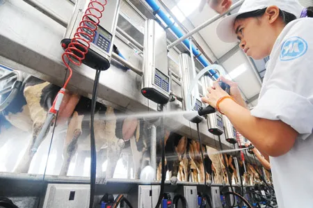 Quản lý sữa: cần quy định rõ!