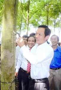 Tổng Giám đốc Tập đoàn Công nghiệp Cao su VN Trần Ngọc Thuận tại Hội thi cạo mủ cao su toàn ngành năm 2010.