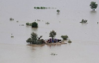 Pakistani flood survivors take refuge on a small patch of land in the middle of floods water on the outskirts of Sukkur on August 9, 2010. AFP