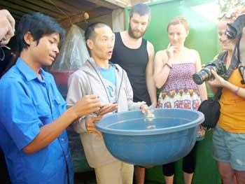 Foreign tourists take photograph of a cricket basin at Thien An cricket farm (Photo: SGGP)
