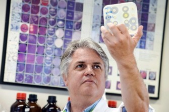 Specialist in microbiology and virology at the University hospital of Brussels professor Denis Pierard, holds up a dish of bacteria culture at the microbiology lab of the Universitair Ziekenhuis Brussels, university hospital, on August 13, 2010. AFP