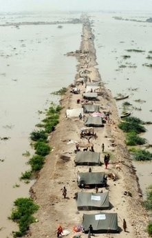 Flood-affected Pakistani villagers take shelter on higher ground surrounded by floodwaters in Sarjani village in Thatta district on August 28. AFP