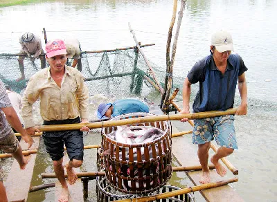 Xuất khẩu thủy sản - Tăng trưởng chưa bền vững