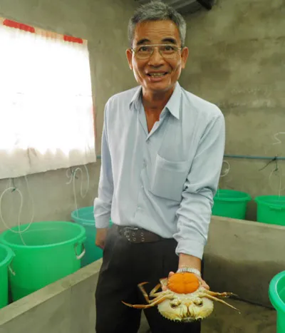 Vua cua giống ở sông Đốc