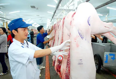 Nhân viên Chi cục Thú y TPHCM kiểm tra thịt heo nhập vào chợ đầu mối nông sản thực phẩm Hóc Môn.