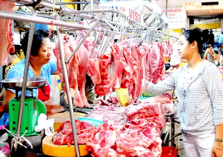 TPHCM và các tỉnh phối hợp tiêu thụ heo khỏe