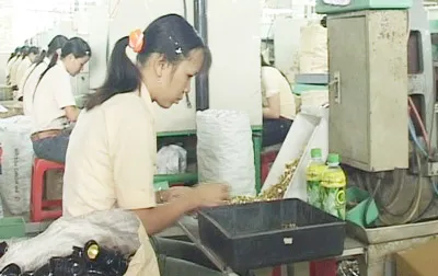 Liên tục cải tiến để chống hàng giả