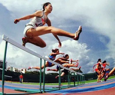 Liên hoan ảnh nghệ thuật TPHCM năm 2010