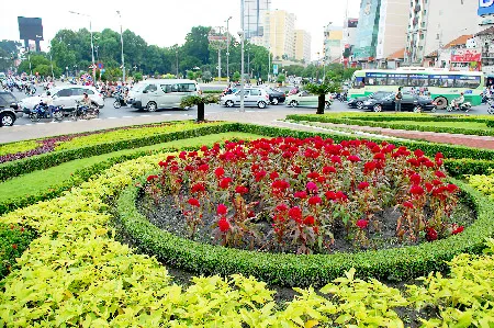 Nhiều vòng xoay tại TPHCM được trồng nhiều cây làm đẹp và tăng diện tích cây xanh.