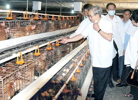 Liên kết đầu tư để bình ổn giá