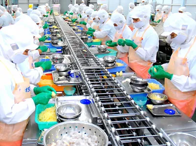 Thúc đẩy xuất khẩu giúp kiềm chế nhập siêu (Ảnh: Chế biến tôm xuất khẩu tại Công ty Hai Thanh). Ảnh: CAO THĂNG