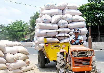 Giá gạo xuất khẩu Việt Nam ngang Thái Lan