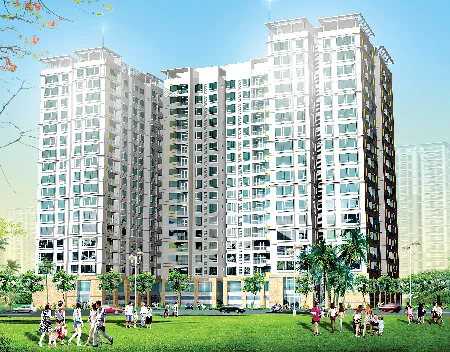 Cổ phiếu Petroland lên sàn: Điểm sáng tiềm năng và cơ hội đầu tư