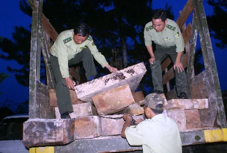 Lâm Đồng: Truy quét, bắt giữ 8 lâm tặc, 30 xe gắn máy