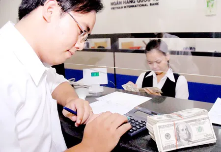 Cẩn trọng với tín dụng ngoại tệ