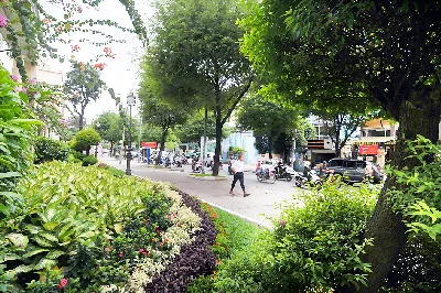 Xanh hóa vỉa hè đã làm bộ mặt ở khu trung tâm TPHCM ngày càng xanh đẹp (Trong ảnh: Đoạn đường Nam Kỳ Khởi Nghĩa). Ảnh: VIỆT DŨNG