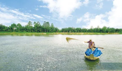 Sử dụng thức ăn Cargill giúp cá tra của Bianfishco đạt chất lượng cao