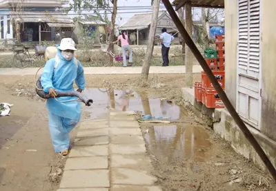 Quảng Trị, Thừa Thiên-Huế - Tập trung phòng dịch bệnh sau lũ