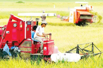 Xây dựng nông thôn mới là hiện thực hóa Nghị quyết về nông nghiệp, nông thôn, nông dân. Trong ảnh: Nông dân huyện Thoại Sơn (An Giang) thu hoạch lúa.