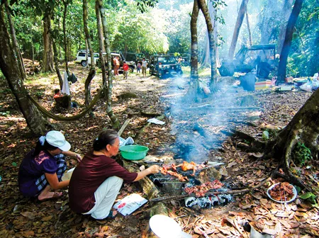 Hạ trại giữa rừng già và thưởng thức thịt nướng