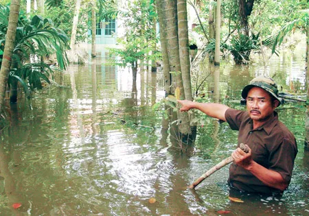 Công trình thủy lợi bờ hữu ven sông Sài Gòn (quận 12): Ngập nặng do thi công cẩu thả, kéo dài