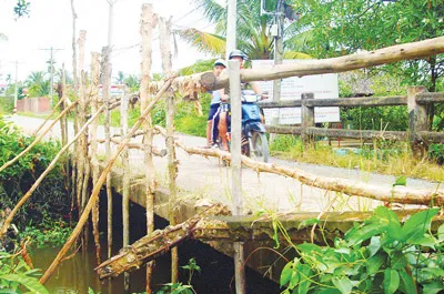 Sớm nâng cấp cầu hư