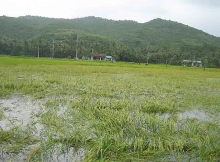 Phú Yên lại đối mặt với lũ dâng cao ảnh 2