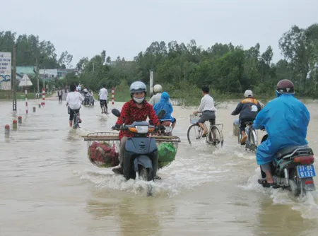 Bình Định, Phú Yên: Mưa lũ vẫn dồn dập ảnh 2
