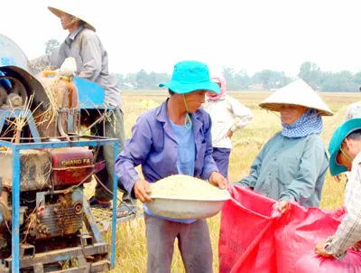 Nghịch lý đầu tư nông nghiệp