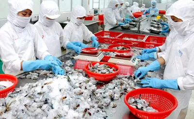 Nguyên liệu thủy sản: Cần giải pháp căn cơ