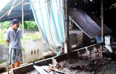 Trang trại nuôi heo của ông Hoàng Văn Hỏn ở xã Mỹ Chánh, huyện Châu Thành, tỉnh Trà Vinh đang phá sản.