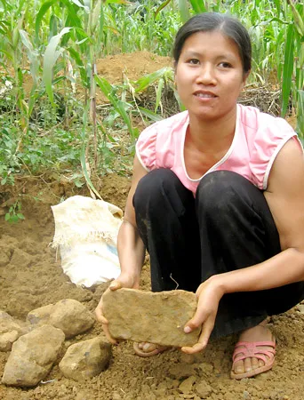 Đào bới vườn ngô để lấy quặng.