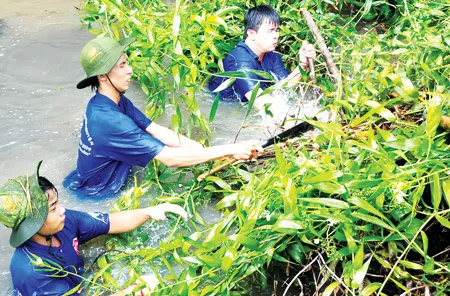 Thanh niên tình nguyện Mùa hè xanh dọn vệ sinh trên kênh rạch quận 12. Ảnh: VIỆT DŨNG
